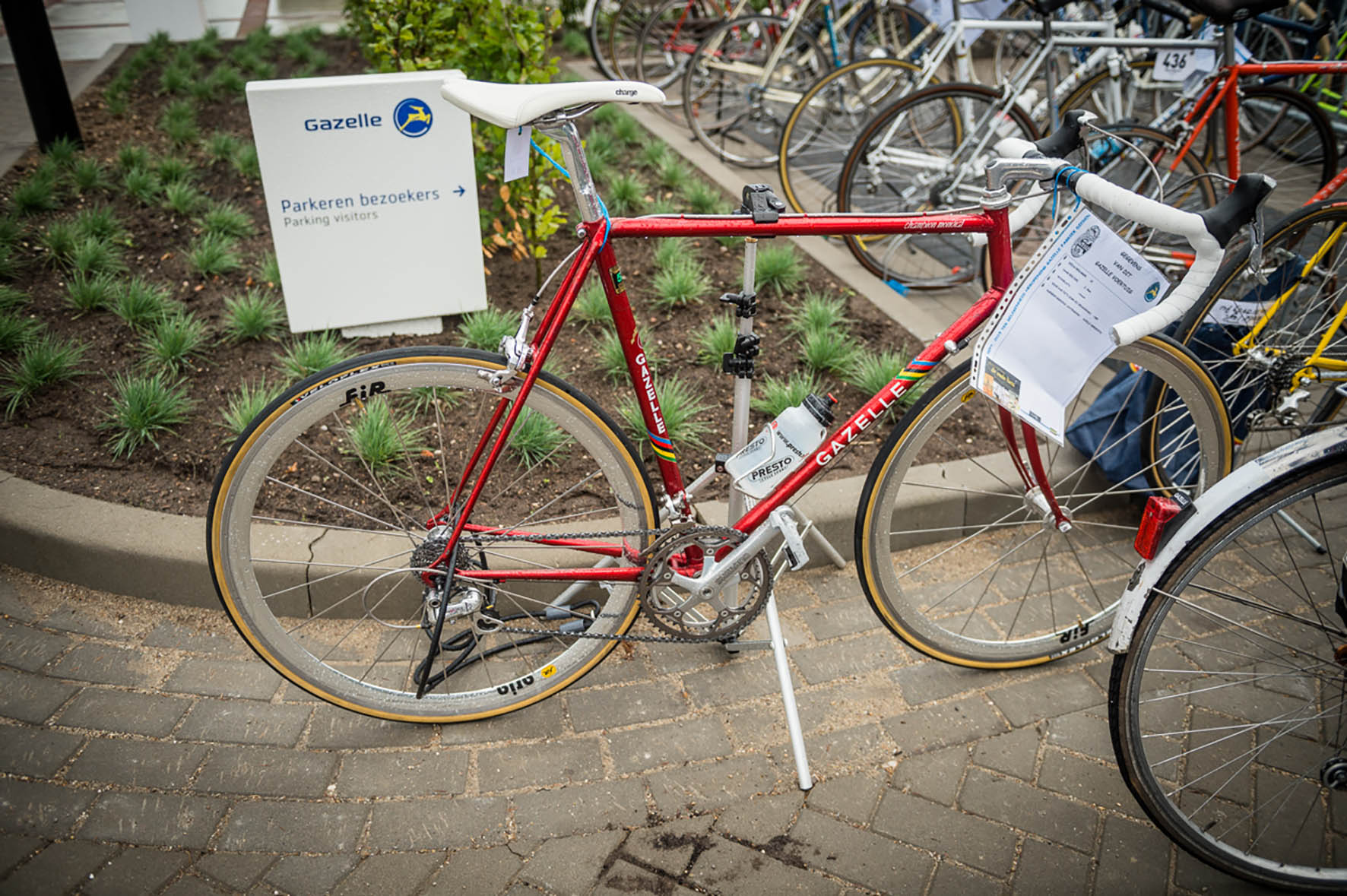 Makkelijker maken kandidaat autobiografie Gazelle Retro fietsers | Fiets.nl - Race en MTB website