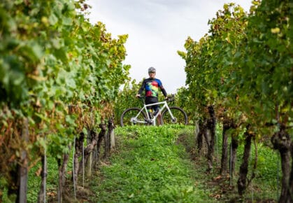 Léon van Bon test Specialized Crux Expert