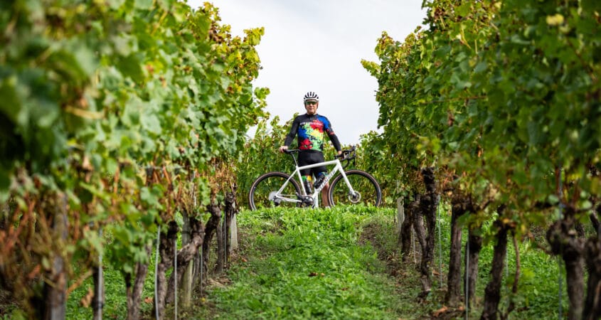 Léon van Bon test Specialized Crux Expert