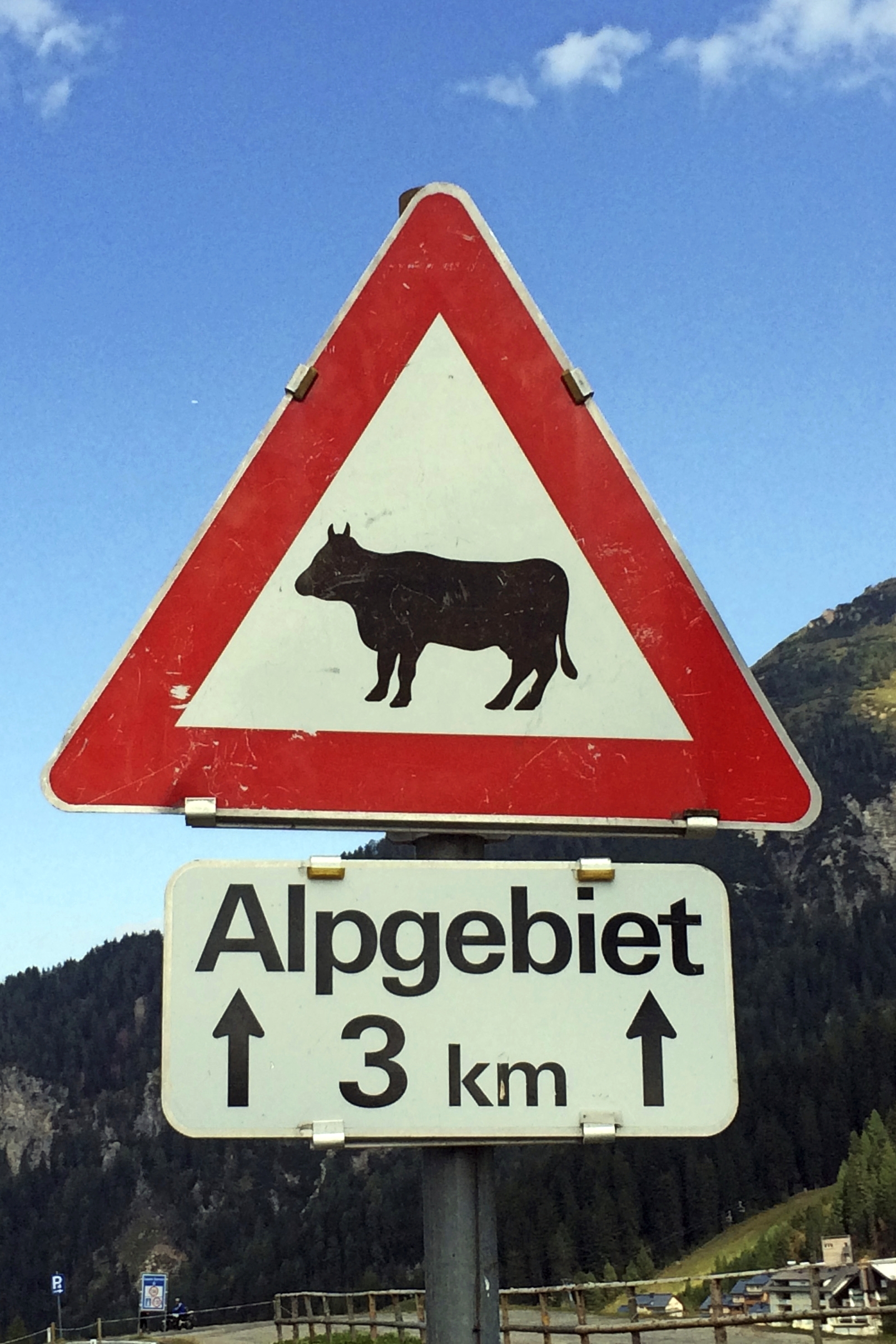 Weissensee Bord Alpengebied Foto Raymond Kool