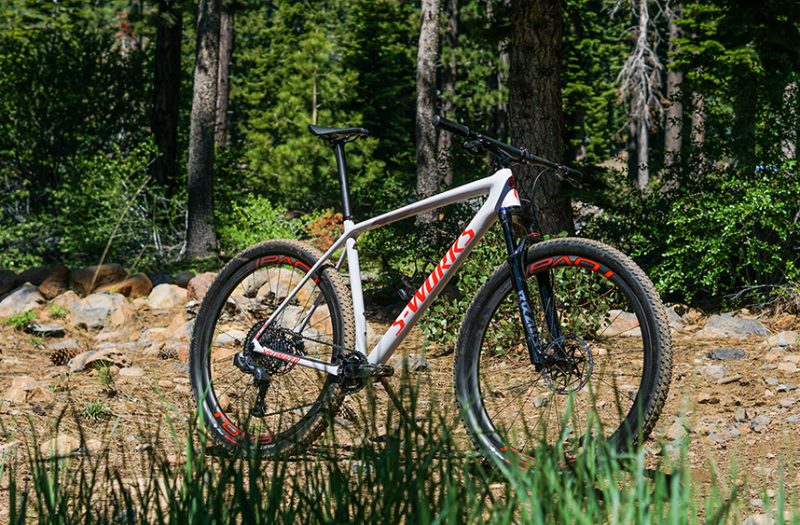 specialized hardtail 2019