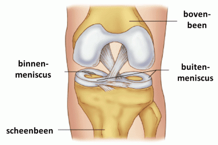 meniscus-e1432641579176.gif