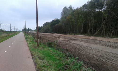 Hier komen de windmolens. Al de mooie bomen zijn weg.